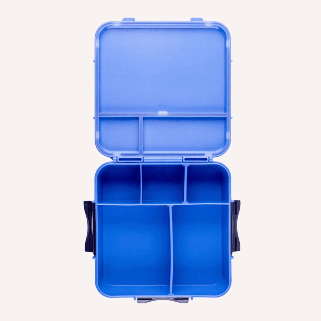 MONTII.CO Bento Plus | Blueberry