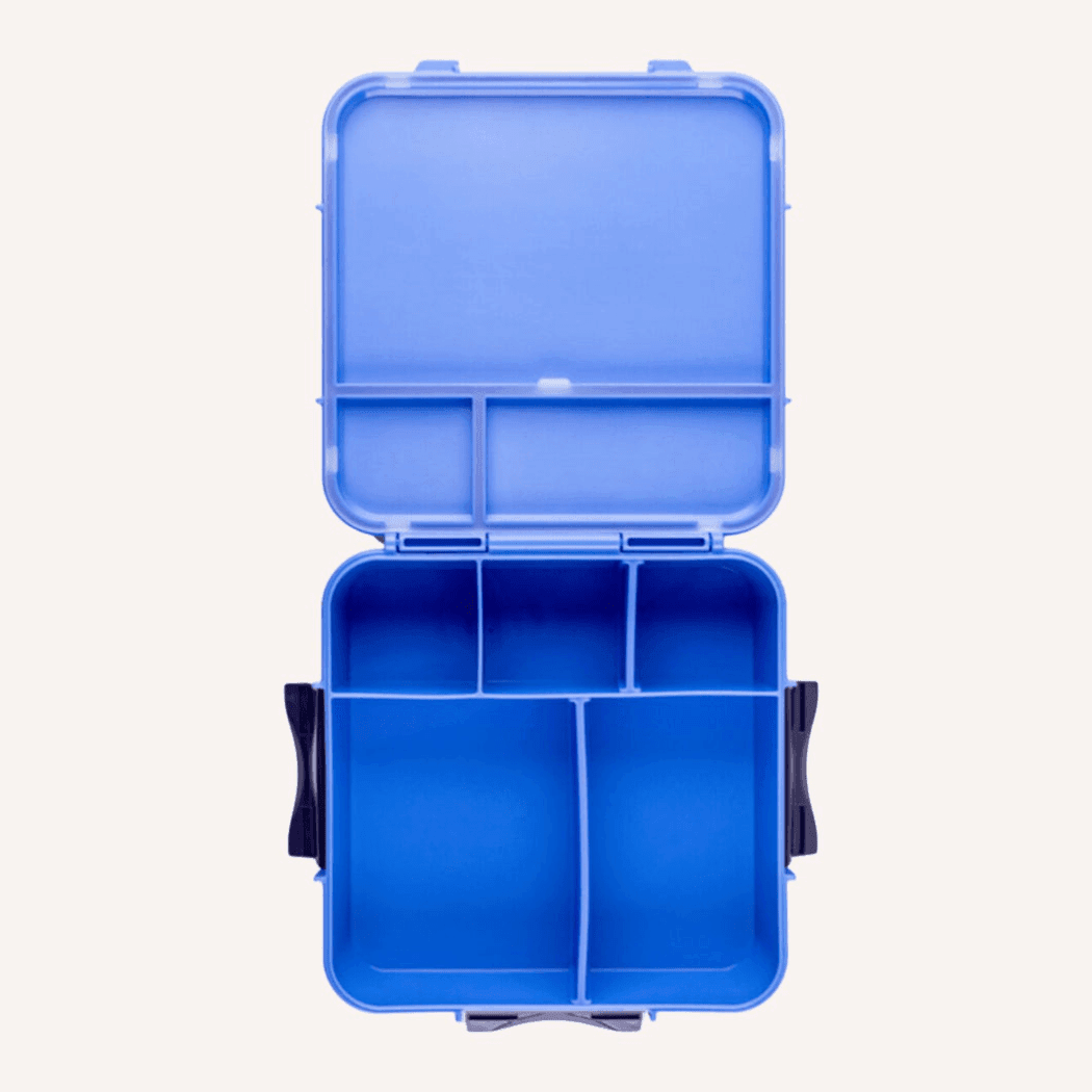 MONTII.CO Bento Plus | Blueberry