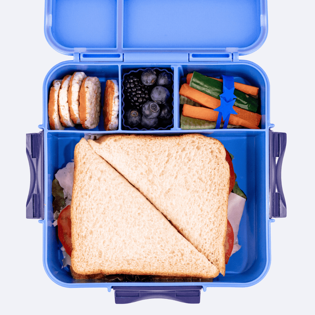 MONTII.CO Bento Plus | Blueberry